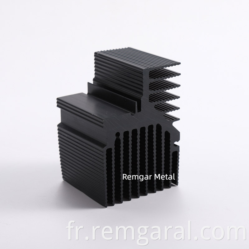 black anodized Remgar custom aluminum extrusion